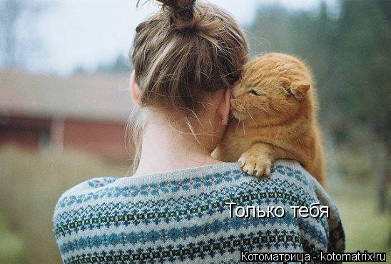 Котоматрица: Только тебя                                   Только тебя