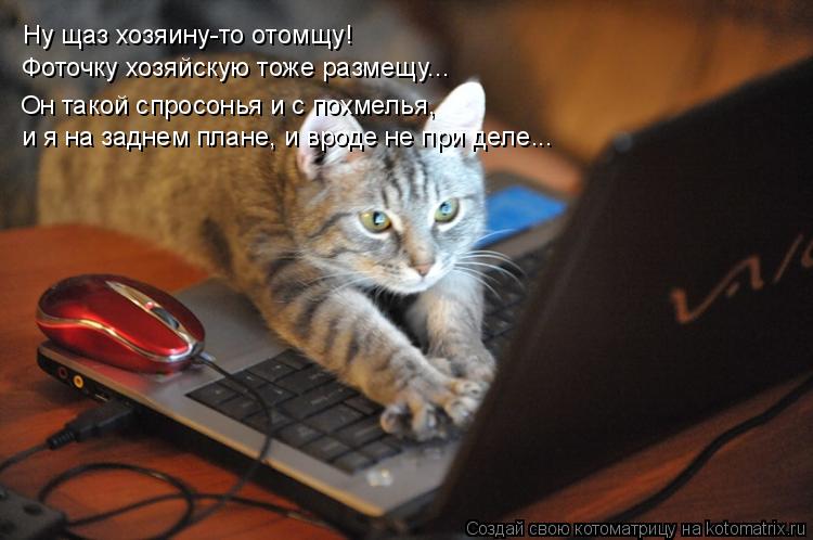 Котоматрица: Ну щаз хозяину-то отомщу! Он такой спросонья и с похмелья,  Фоточку хозяйскую тоже размещу... и я на заднем плане, и вроде не при деле...