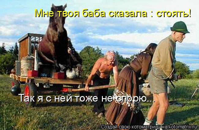 Котоматрица: Мне твоя баба сказала : стоять! Так я с ней тоже не спорю...