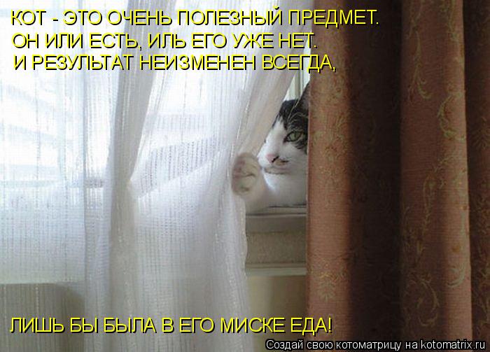Котоматрица: КОТ - ЭТО ОЧЕНЬ ПОЛЕЗНЫЙ ПРЕДМЕТ. ОН ИЛИ ЕСТЬ, ИЛЬ ЕГО УЖЕ НЕТ. И РЕЗУЛЬТАТ НЕИЗМЕНЕН ВСЕГДА,  ЛИШЬ БЫ БЫЛА В ЕГО МИСКЕ ЕДА!