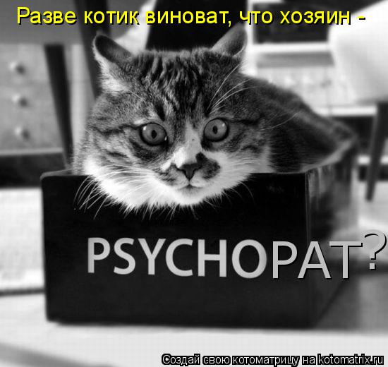 Котоматрица: Разве котик виноват, что хозяин - психопат? PAT ?
