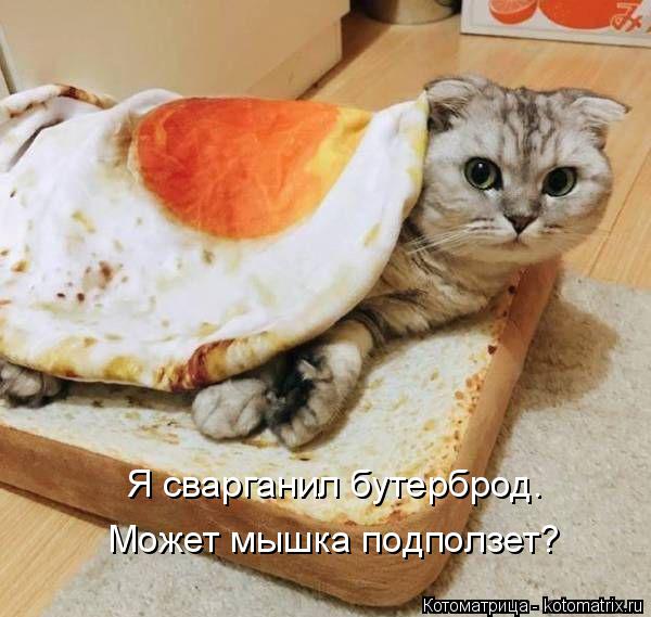 Котоматрица: Я сварганил бутерброд. Может мышка подползет?