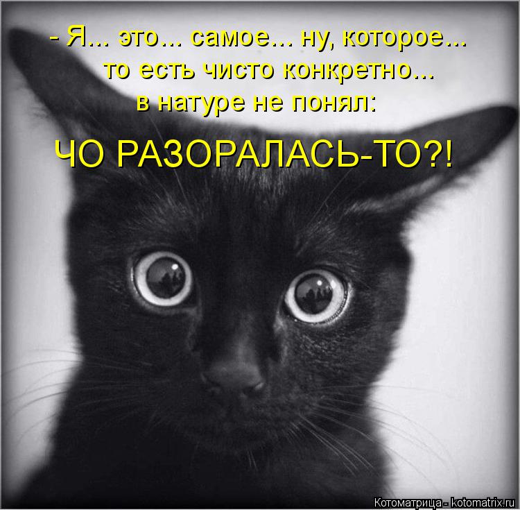 - Я... это... самое... ну, которое... то есть чисто конкретно... в натуре не понял: ЧО РАЗОРАЛАСЬ-ТО?... Котоматрица: - Я... это... самое... ну, которое... то есть чисто конкретно... в натуре не понял: ЧО РАЗОРАЛАСЬ-ТО?!