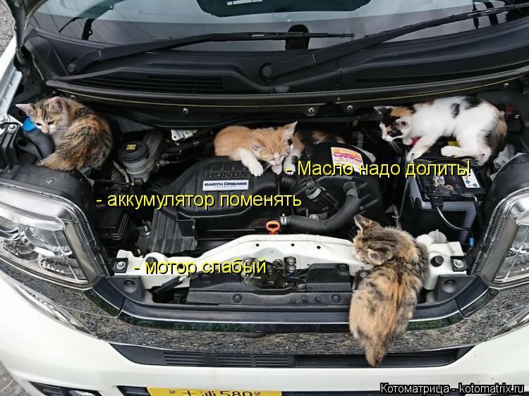 Котоматрица: - Масло надо долить!  - аккумулятор поменять - мотор слабый - мотор слабый