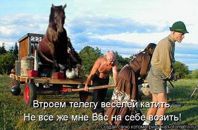 Котоматрица: Не все же мне Вас на себе возить! Втроем телегу веселей катить.