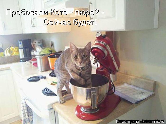 Котоматрица: Пробовали Кото - пюре? - Сейчас будет!