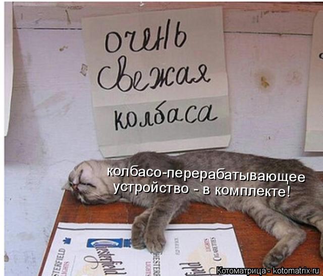 колбасо-перерабатывающее устройство - в комплекте!... Котоматрица: колбасо-перерабатывающее устройство - в комплекте!