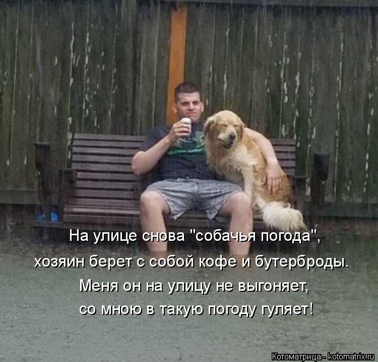 Котоматрица: со мною в такую погоду гуляет! Меня он на улицу не выгоняет, На улице снова "собачья погода", хозяин берет с собой кофе и бутерброды.