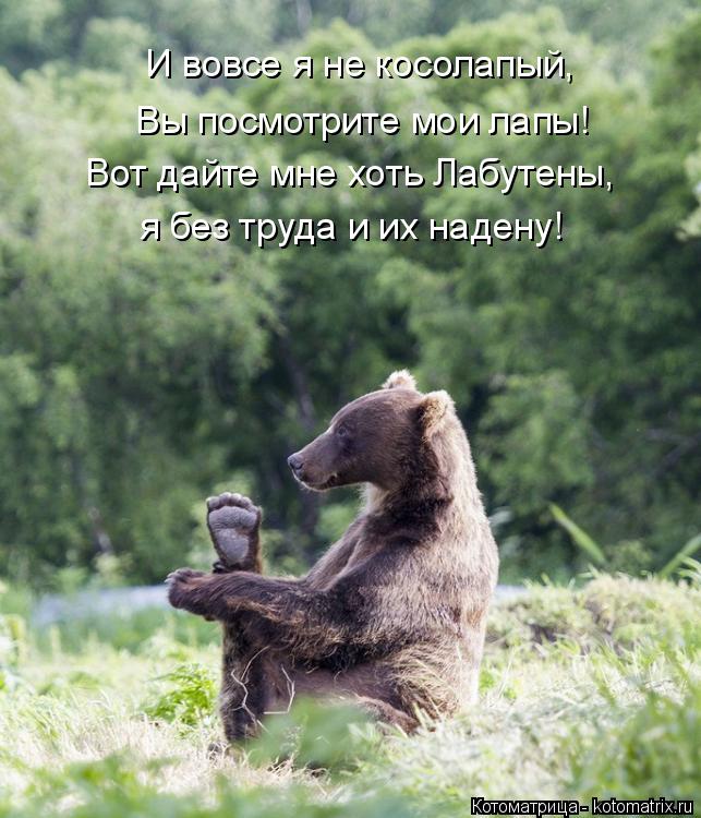 Котоматрица: Вы посмотрите мои лапы! я без труда и их надену! И вовсе я не косолапый, Вот дайте мне хоть Лабутены,