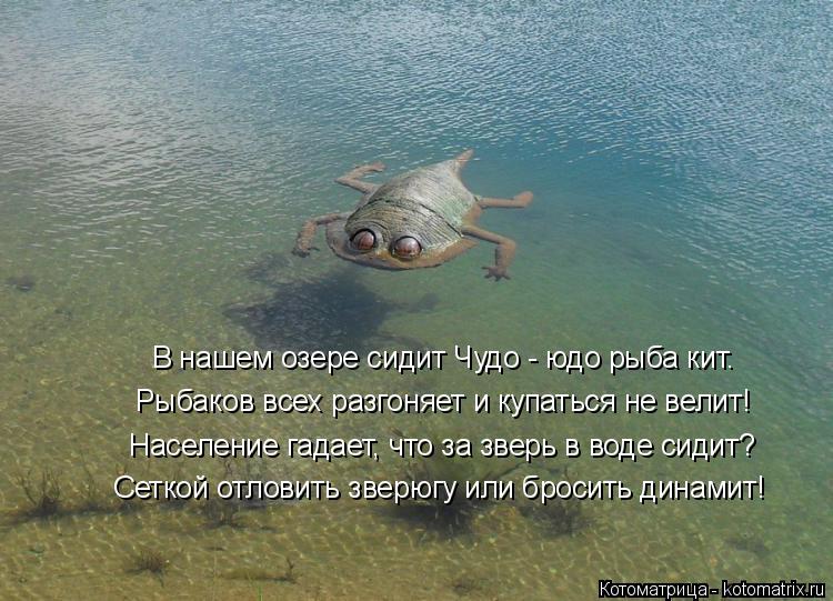 Котоматрица: В нашем озере сидит Чудо - юдо рыба кит.  Рыбаков всех разгоняет и купаться не велит! Население гадает, что за зверь в воде сидит? Сеткой отлов