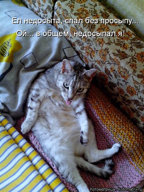 Котоматрица: Ел недосыта, спал без просыпу...  Ой... в общем, недосыпал я!
