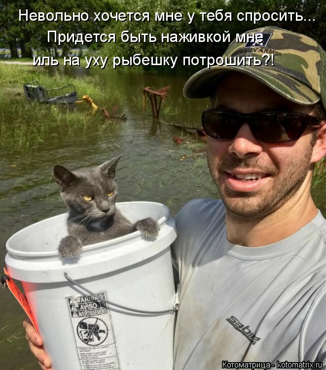 Котоматрица: Невольно хочется мне у тебя спросить... Придется быть наживкой мне иль на уху рыбешку потрошить?!