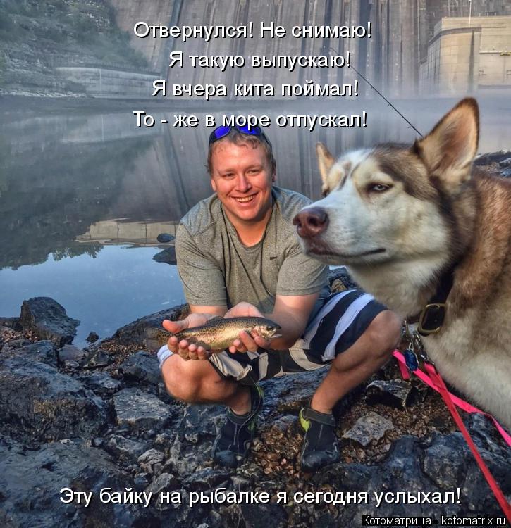 Котоматрица: Я такую выпускаю! Отвернулся! Не снимаю! Я вчера кита поймал! То - же в море отпускал! Эту байку на рыбалке я сегодня услыхал!