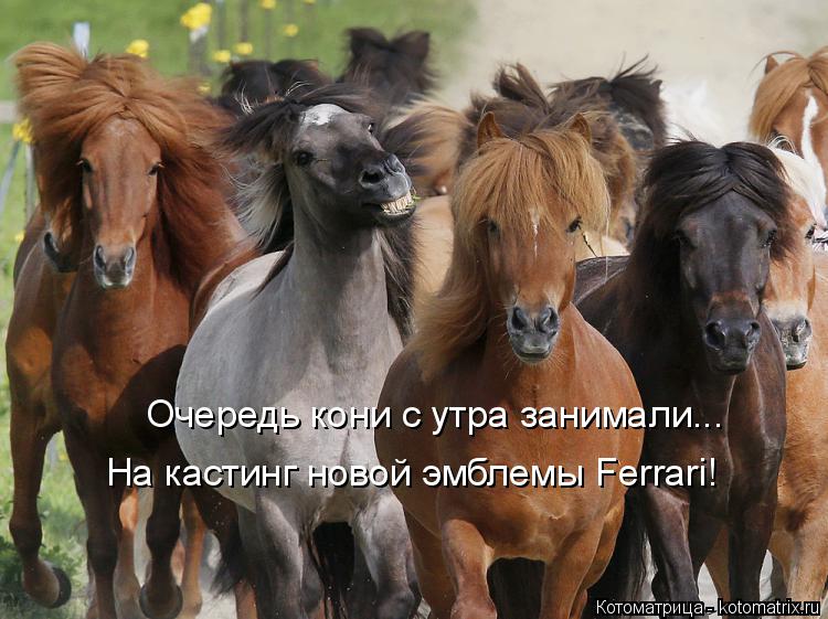 Котоматрица: Очередь кони с утра занимали... На кастинг новой эмблемы Ferrari!