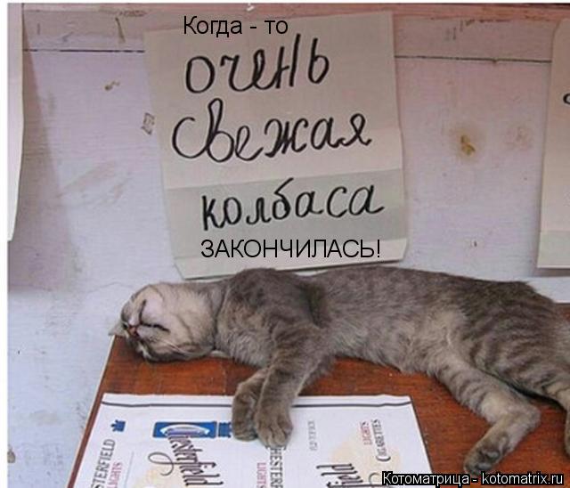Котоматрица: Когда - то ЗАКОНЧИЛАСЬ!