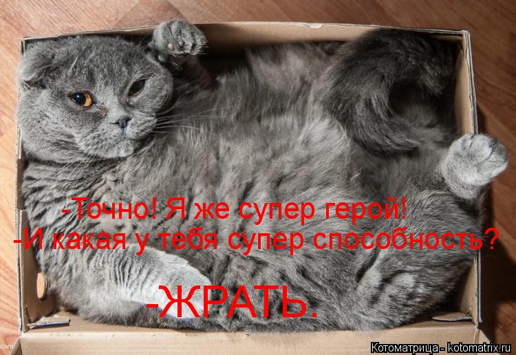 Котоматрица: -Точно! Я же супер герой! -И какая у тебя супер способность? -ЖРАТЬ.