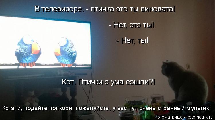 Котоматрица: В телевизоре: - птичка это ты виновата! - Нет, это ты! - Нет, ты! Кот: Птички с ума сошли?! Кстати, подайте попкорн, пожалуйста, у вас тут очень стр