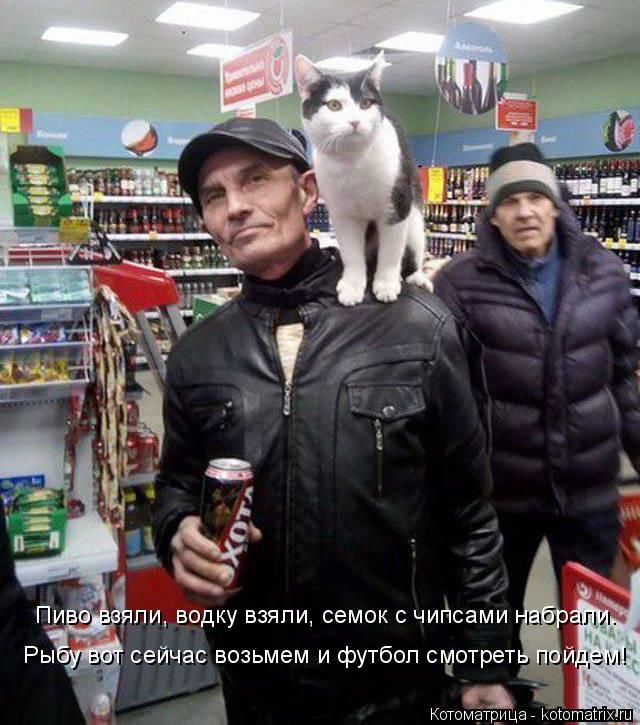 Котоматрица: Рыбу вот сейчас возьмем и футбол смотреть пойдем! Пиво взяли, водку взяли, семок с чипсами набрали.