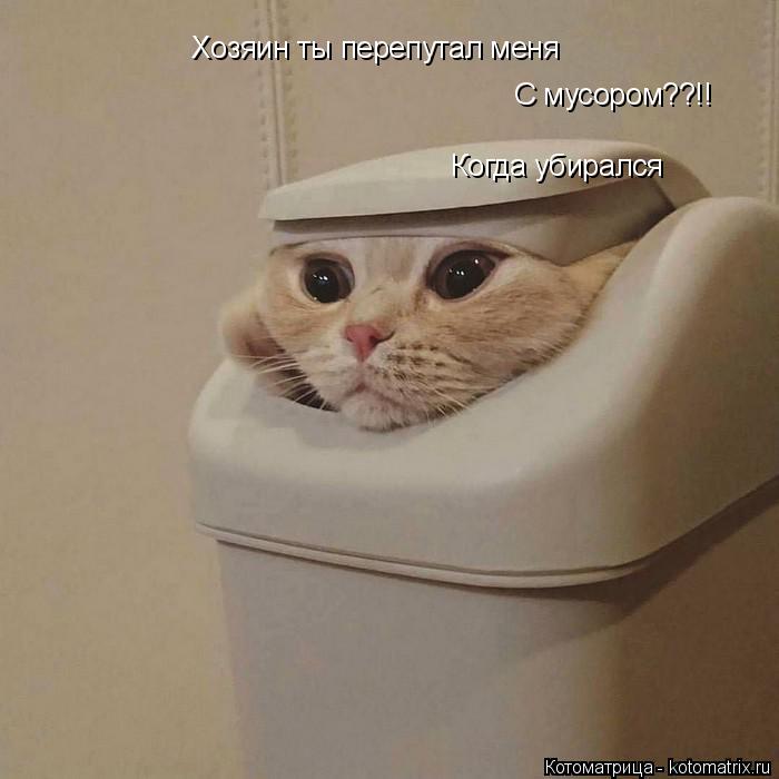 Котоматрица: Хозяин ты перепутал меня С мусором??!! Когда убирался