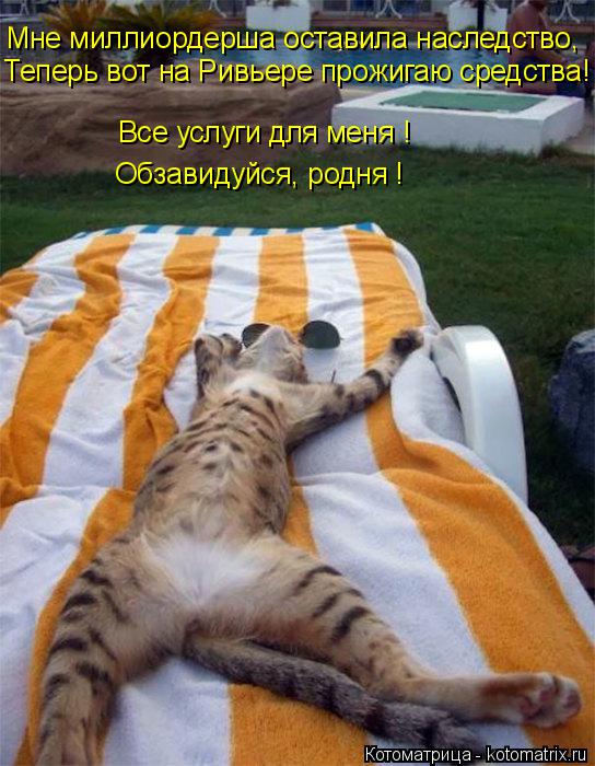 Котоматрица: Все услуги для меня ! Обзавидуйся, родня ! Мне миллиордерша оставила наследство, Теперь вот на Ривьере прожигаю средства!