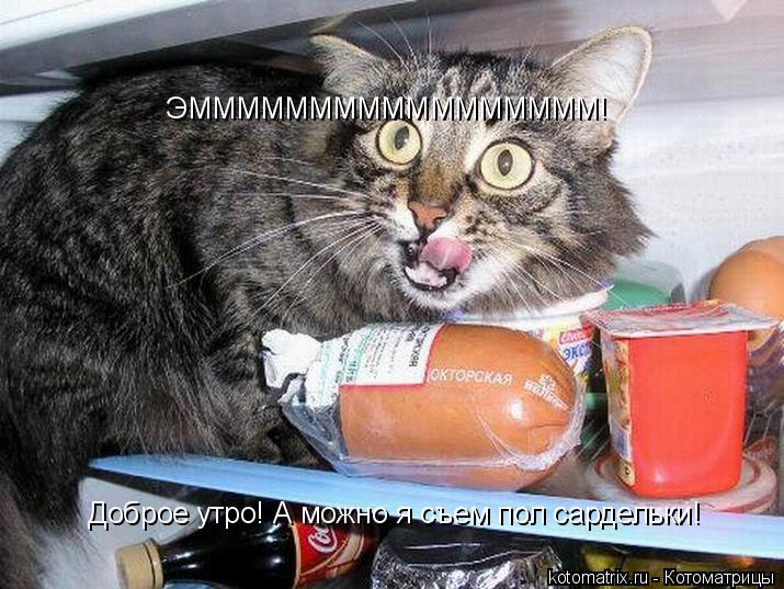 Котоматрица: ЭМММММММММММММММММ! Доброе утро! А можно я съем пол сардельки!