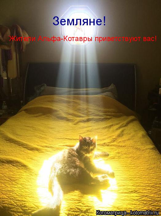 Котоматрица: Земляне! Жители Альфа-Котавры приветствуют вас!
