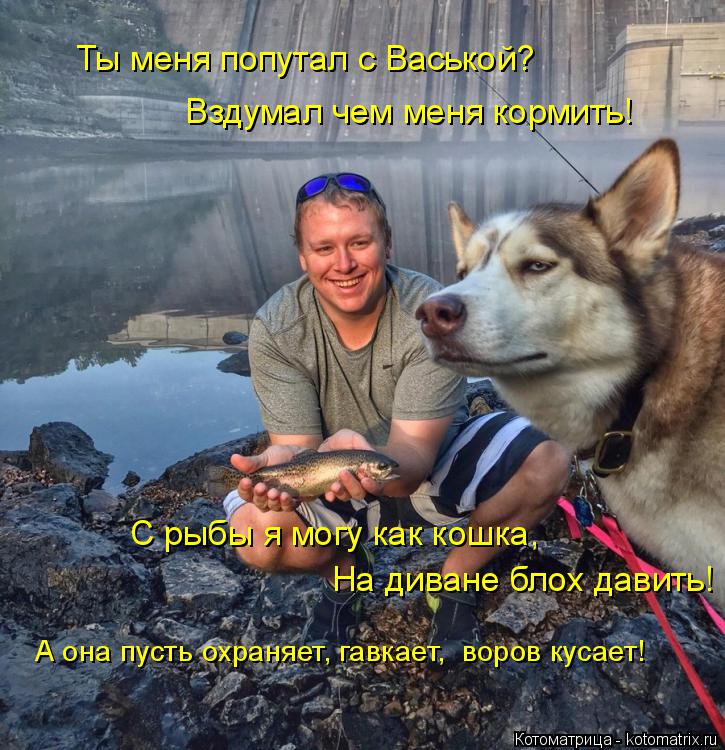 Котоматрица: Ты меня попутал с Васькой?  Вздумал чем меня кормить! С рыбы я могу как кошка,  На диване блох давить! А она пусть охраняет, гавкает,  воров кус