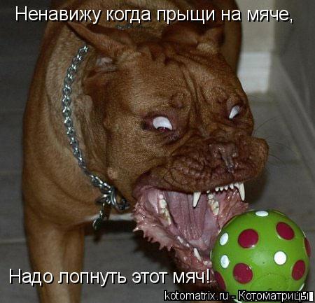 Котоматрица: Ненавижу когда прыщи на мяче, Надо лопнуть этот мяч!