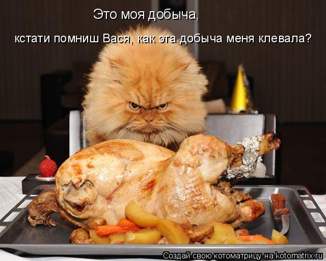 Котоматрица: Это моя добыча, кстати помниш Вася, как эта добыча меня клевала?