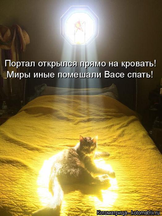 Портал открылся прямо на кровать! Миры иные помешали Васе спать!... Котоматрица: Портал открылся прямо на кровать! Миры иные помешали Васе спать!