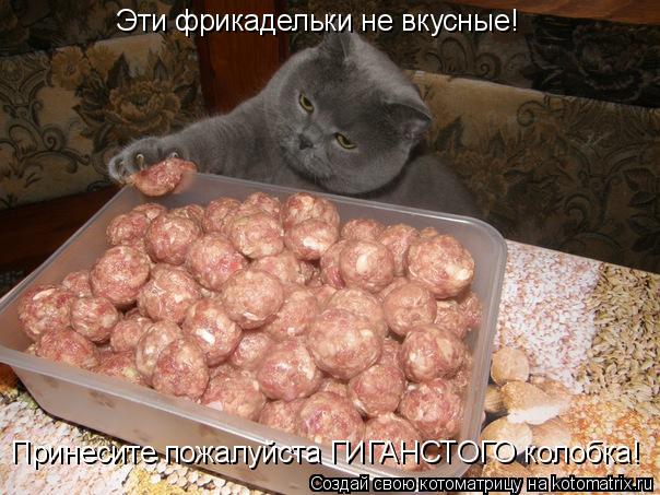 Котоматрица: Эти фрикадельки не вкусные! Принесите пожалуйста ГИГАНСТОГО колобка!