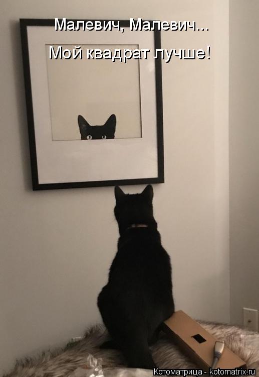 Котоматрица: Малевич, Малевич... Мой квадрат лучше!