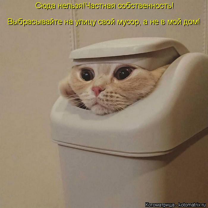 Котоматрица: Сюда нельзя!Частная собственность! Выбрасывайте на улицу свой мусор, а не в мой дом!