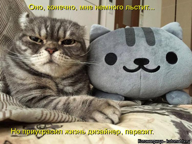Но приукрасил жизнь дизайнер, паразит. Оно, конечно, мне немного льстит...... Котоматрица: Но приукрасил жизнь дизайнер, паразит. Оно, конечно, мне немного льстит...