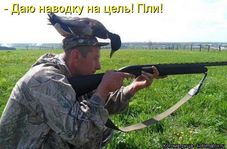 - Даю наводку на цель! Пли!... Котоматрица: - Даю наводку на цель! Пли!