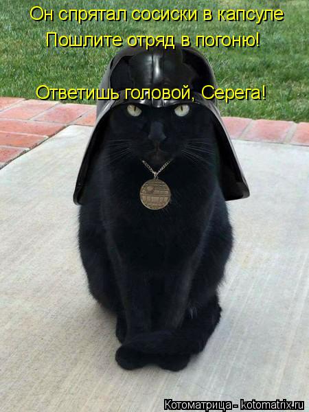 Котоматрица: Он спрятал сосиски в капсуле Пошлите отряд в погоню! Ответишь головой, Серега!