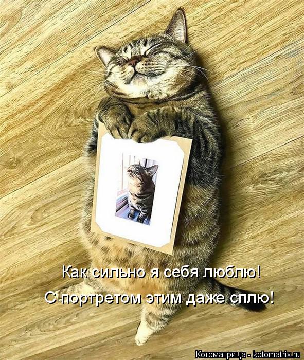Котоматрица: Как сильно я себя люблю! С портретом этим даже сплю!