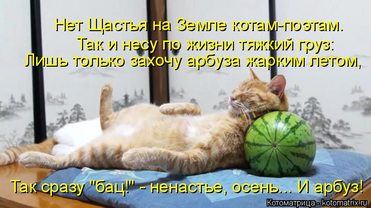 Нет Щастья на Земле котам-поэтам. Так и несу по жизни тяжкий груз: Лишь только захочу арбуза жарким л... Котоматрица: Нет Щастья на Земле котам-поэтам. Так и несу по жизни тяжкий груз: Лишь только захочу арбуза жарким летом, Так сразу "бац!" - ненастье, осень...
