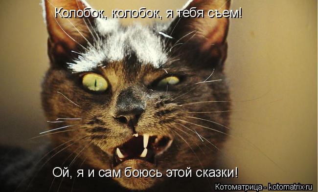 Котоматрица: Колобок, колобок, я тебя съем! Ой, я и сам боюсь этой сказки!