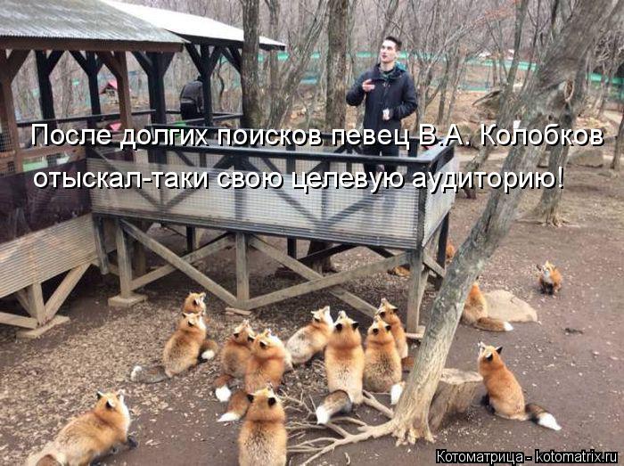 Котоматрица: После долгих поисков певец В.А. Колобков  отыскал-таки свою целевую аудиторию!