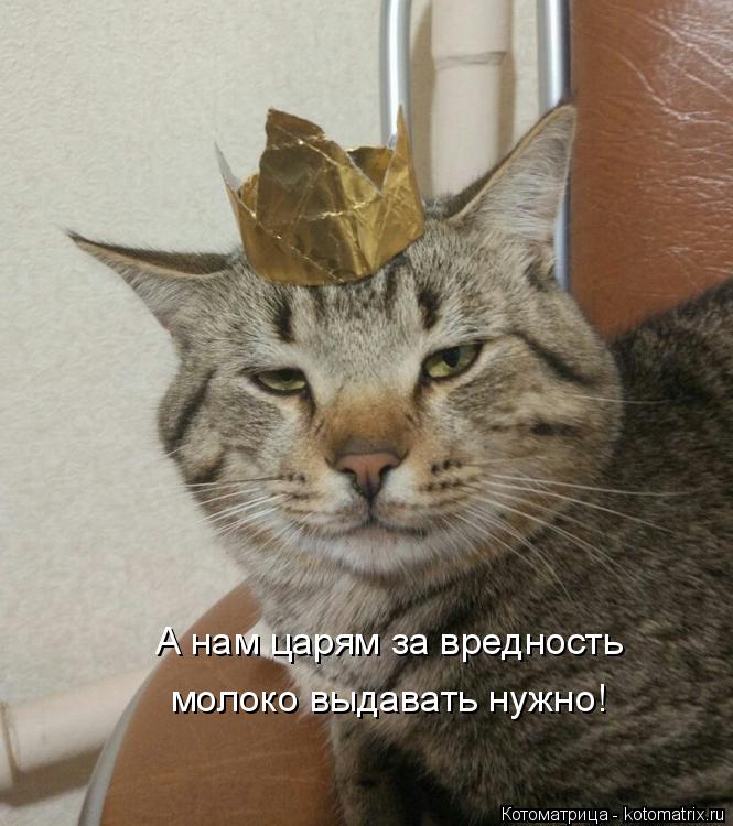 Котоматрица: А нам царям за вредность молоко выдавать нужно!