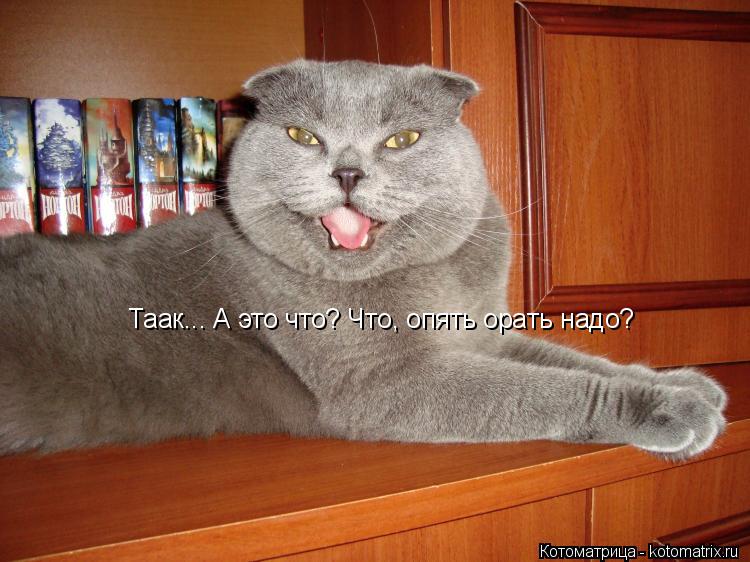 Котоматрица: Таак... А это что? Что, опять орать надо?