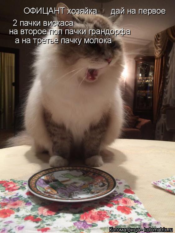 Котоматрица: дай на первое 2 пачки вискаса ОФИЦАНТ хозяйка на второе пол пачки грандорфа  а на третье пачку молока
