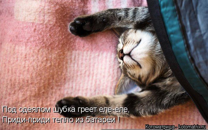 Котоматрица: Под одеялом шубка греет еле-еле, Приди-приди тепло из батареи !