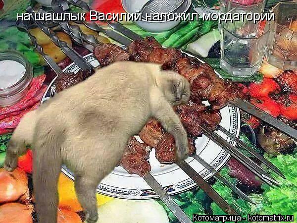 на шашлык Василий наложил мордаторий... Котоматрица: на шашлык Василий наложил мордаторий