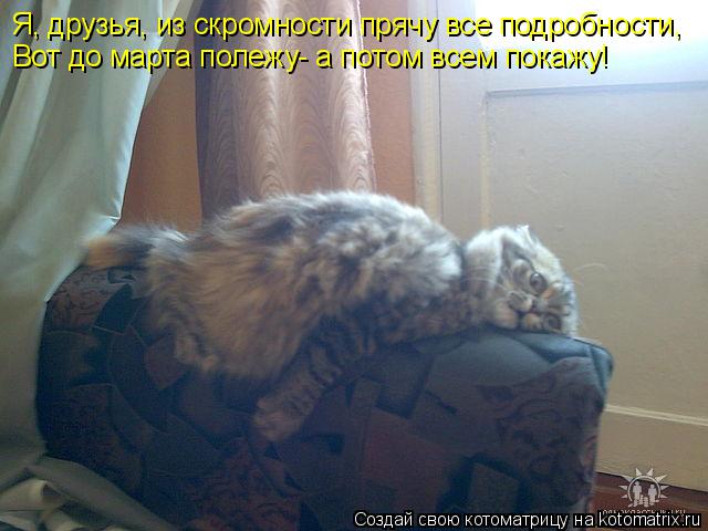 Я, друзья, из скромности прячу все подробности, Вот до марта полежу- а потом всем покажу!... Котоматрица: Я, друзья, из скромности прячу все подробности, Вот до марта полежу- а потом всем покажу!
