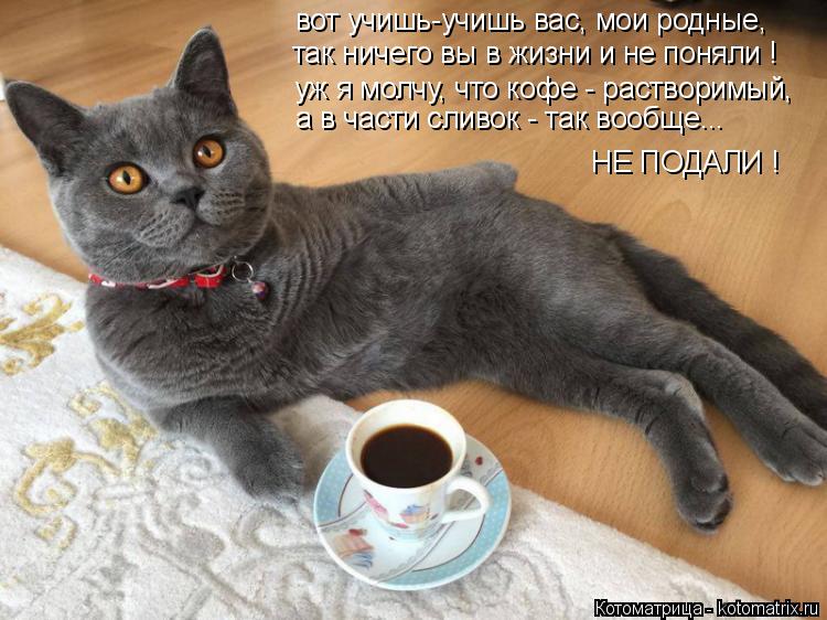вот учишь-учишь вас, мои родные, так ничего вы в жизни и не поняли ! а в части сливок - так вообще...... Котоматрица: вот учишь-учишь вас, мои родные, так ничего вы в жизни и не поняли ! а в части сливок - так вообще... НЕ ПОДАЛИ ! уж я молчу, что кофе - растворимый