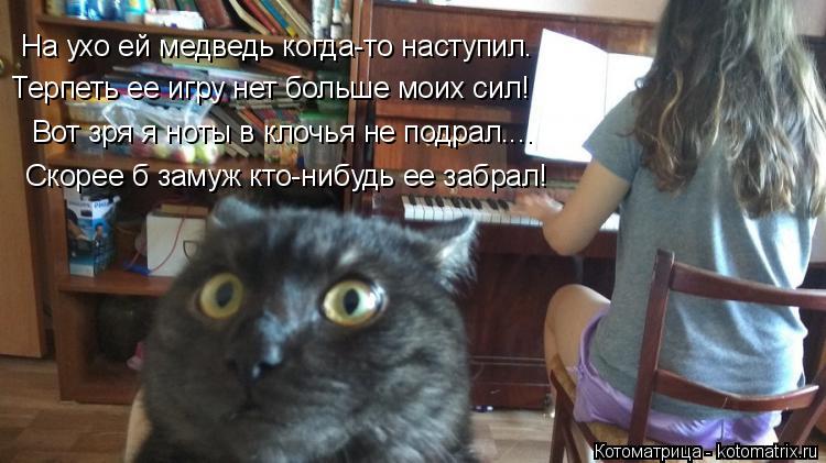 Котоматрица: На ухо ей медведь когда-то наступил. Терпеть ее игру нет больше моих сил! Вот зря я ноты в клочья не подрал.... Скорее б замуж кто-нибудь ее заб