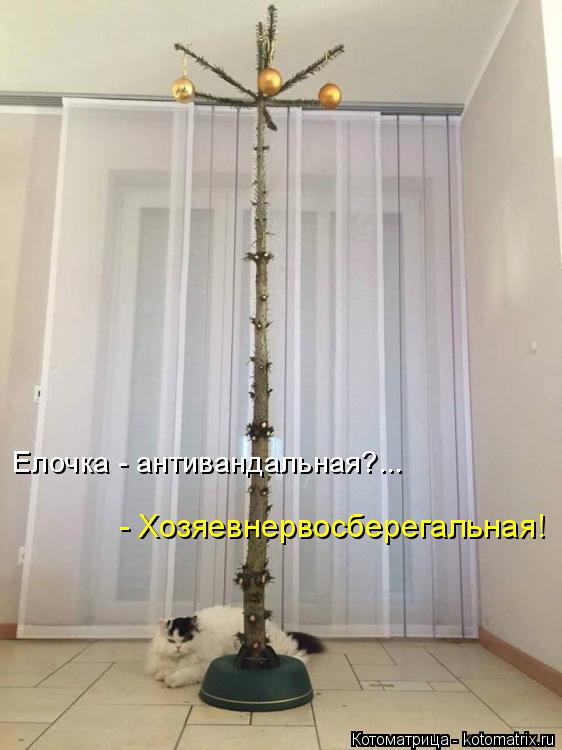 Котоматрица: Елочка - антивандальная?... - Хозяевнервосберегальная!