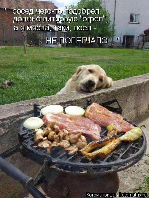 Котоматрица: ".. сосед чего-то подобрел, должно литровую "огрел", а я мясца, таки, поел -  НЕ ПОЛЕГЧАЛО... "